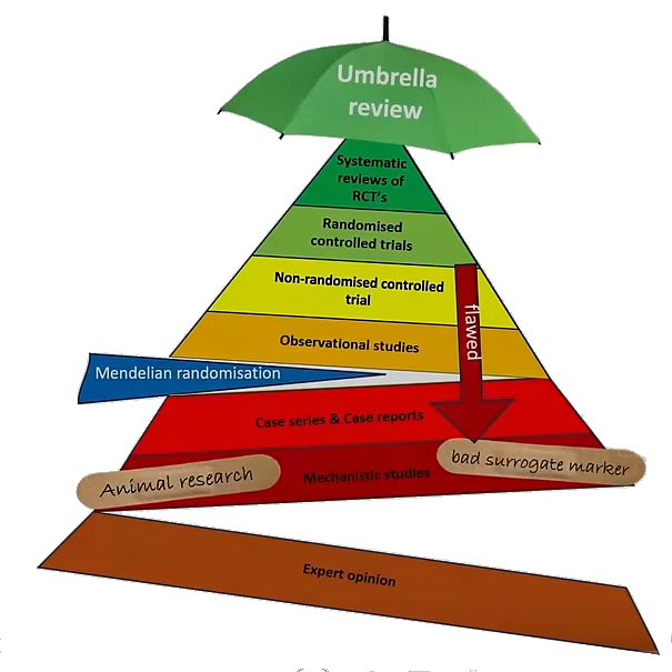 Unseriöse Studien und die Medien